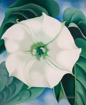 Jimson Weed White Flower No1 Georgia Okeeffe American modernism Precisionism Ölgemälde